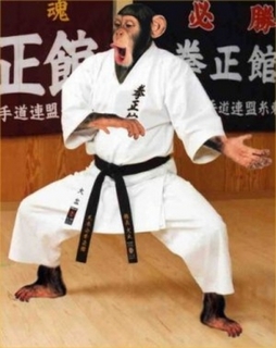 20130704205919437.jpg